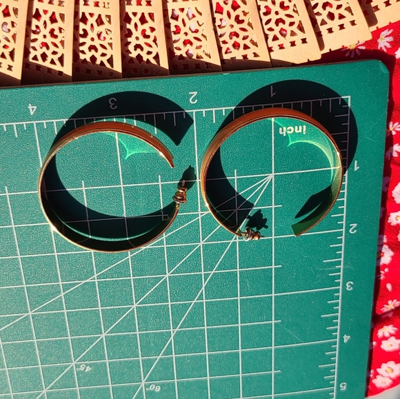 Elegant Hoop Earrings - Picture 7 of 9